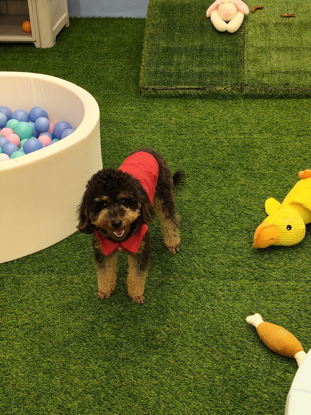 Indoor play area