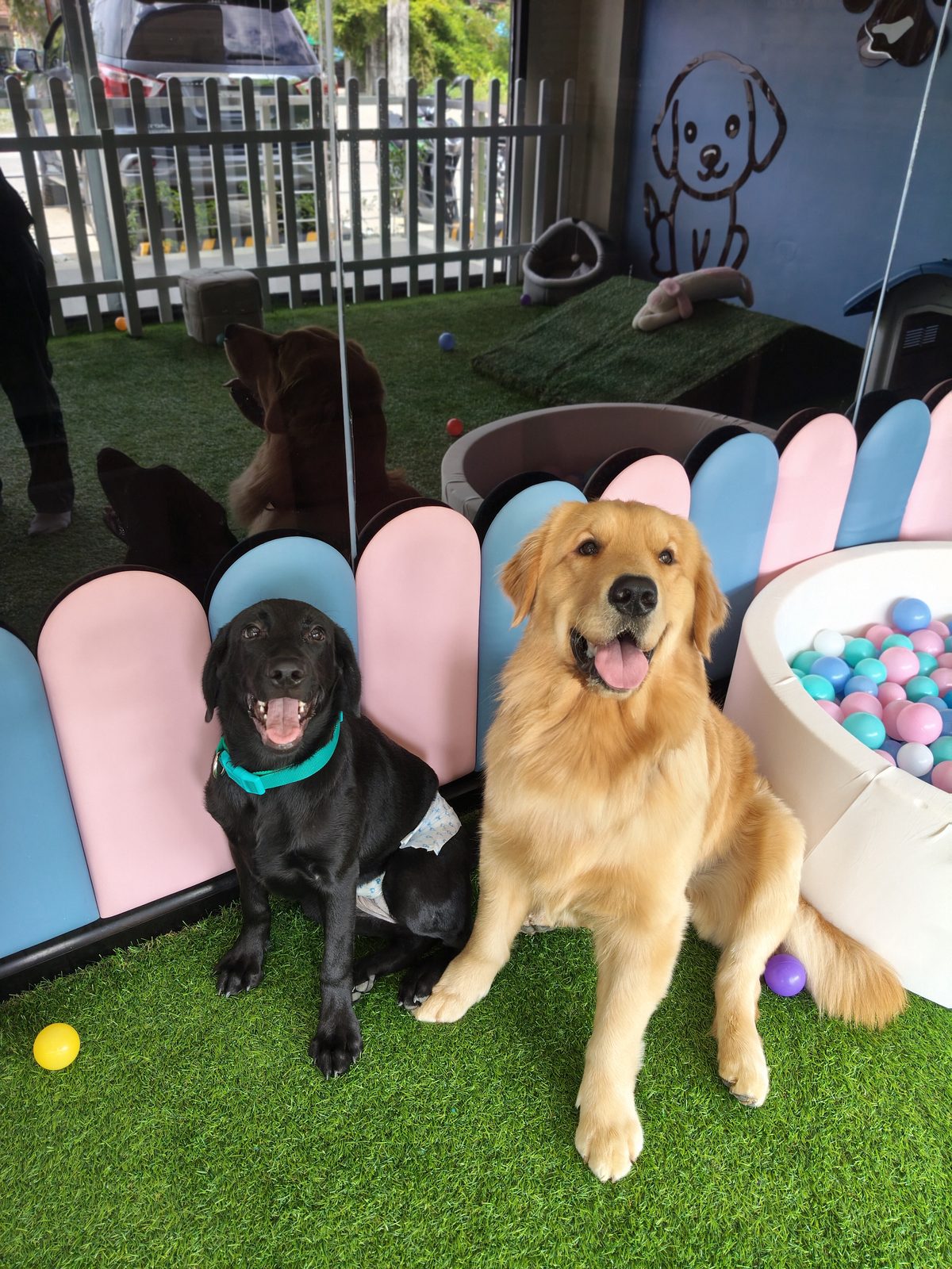 Happy campers