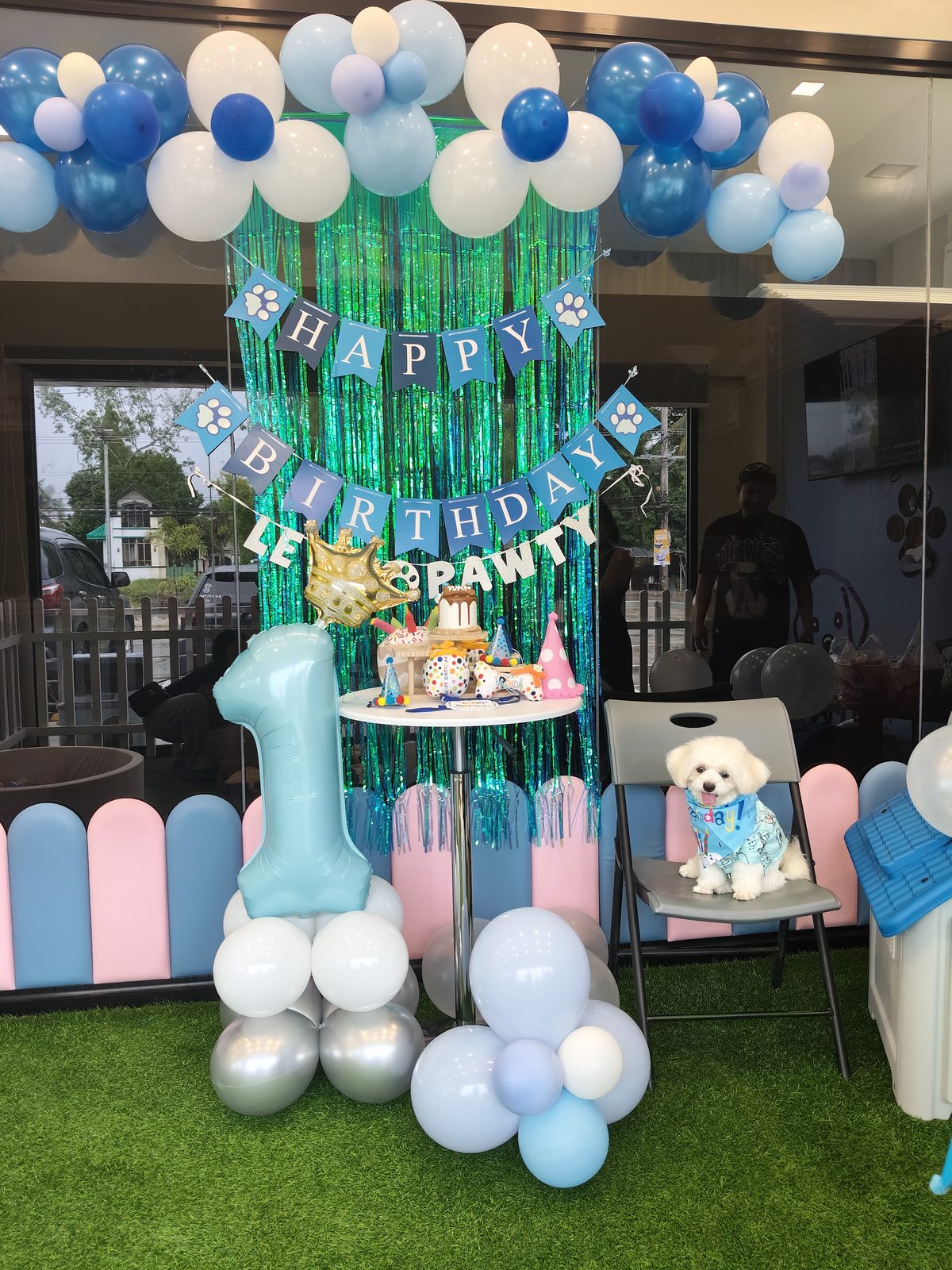 Pet birthday party